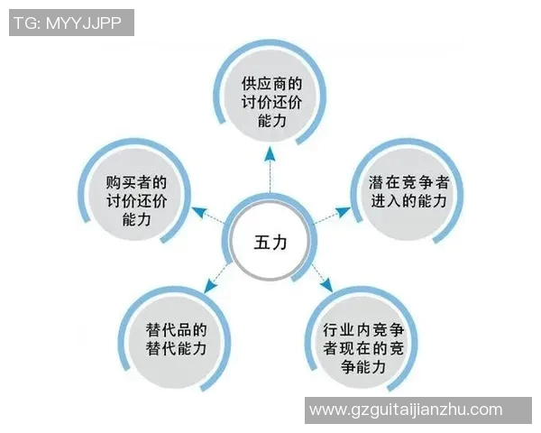 深入探讨成都篮球队的力量表现与数据分析背后的秘密与启示