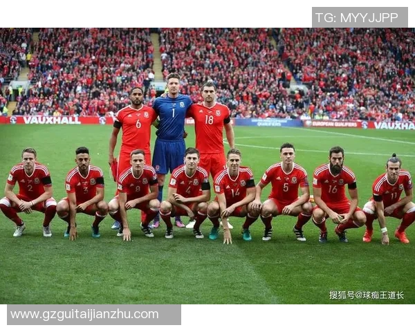 深圳羽毛球队在世界杯预选赛中的团队协作表现分析与点评